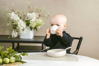 Our Year 2023 in a Nutshell